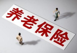 国产a级一级久久毛片,揭秘一级久久毛片背后的故事