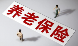 国产毛片久久久久久国产毛片,历史与现状的交织