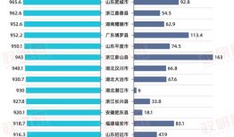 国产区综合,创新驱动，引领产业升级的璀璨明珠