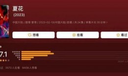 在线国产播放,在线播放平台引领潮流