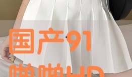 国产91啪啪,揭秘国产影视作品的魅力与挑战