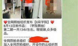 国产厕所偷拍视频,隐私边界何在？