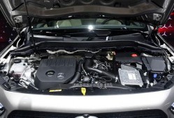 国产19p,引领科技潮流的创新之作