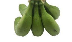 大香蕉国产成人