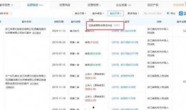 国产a网站,探索创新与发展的中国互联网新篇章